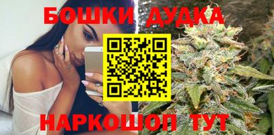 гидропоника Будённовск