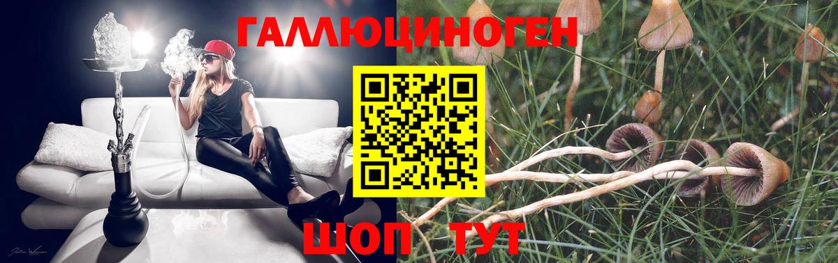 Псилоцибиновые грибы Cubensis Новоуральск