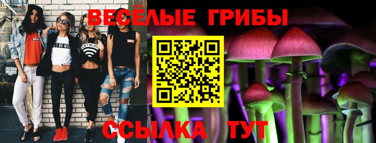 Новоуральск  Псилоцибиновые грибы MAGIC MUSHROOMS  Вход с VPN  Галлюциногенные грибы мухоморы 